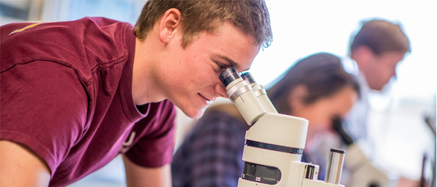 Student using Microscope